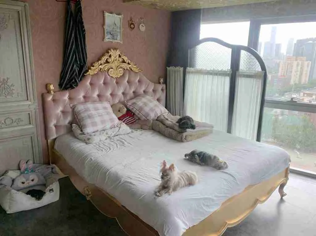 Experience Luxury with Upholstered King French Beds